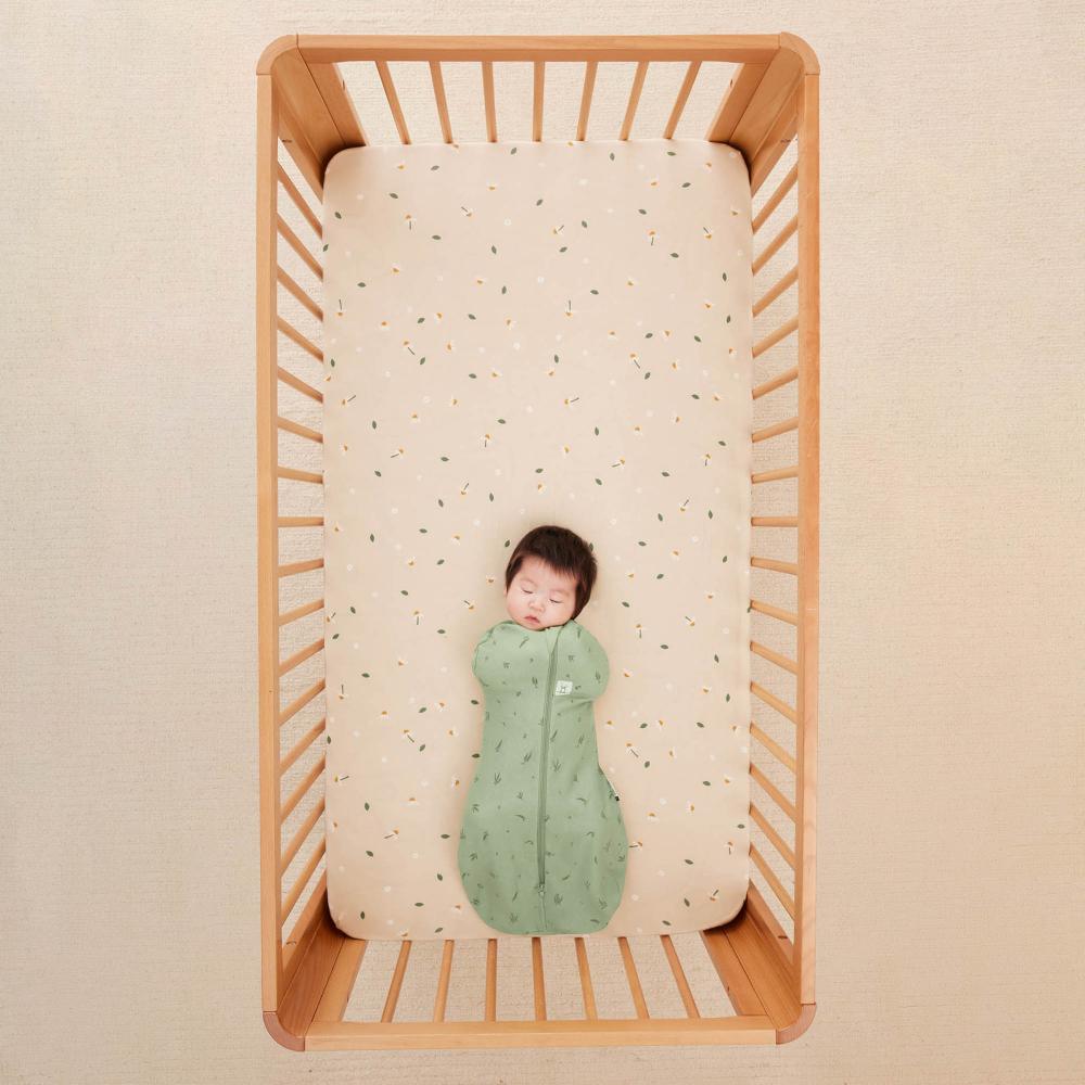 Recent Changes to the American Academy of Pediatrics (AAP) Safe Sleep Recommendations