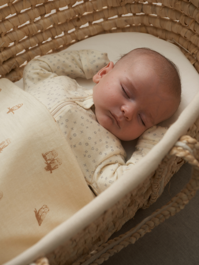 Baby with arms up sleeping in moses basket with merino blanket over their tummy