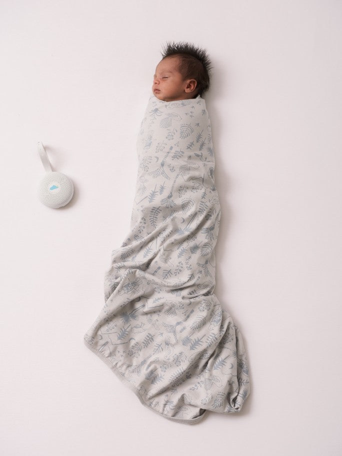 A newborn baby in a grey swaddle with wilderness print. A small white noise machine is beside the baby on a white background