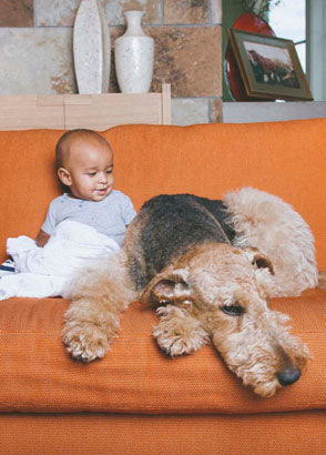 Baby sitting on couch with family dog