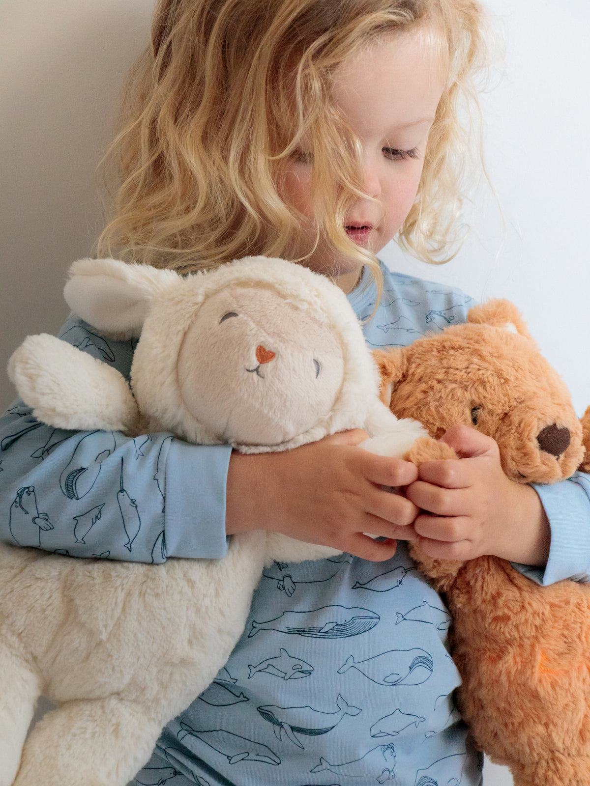 Soft Toys