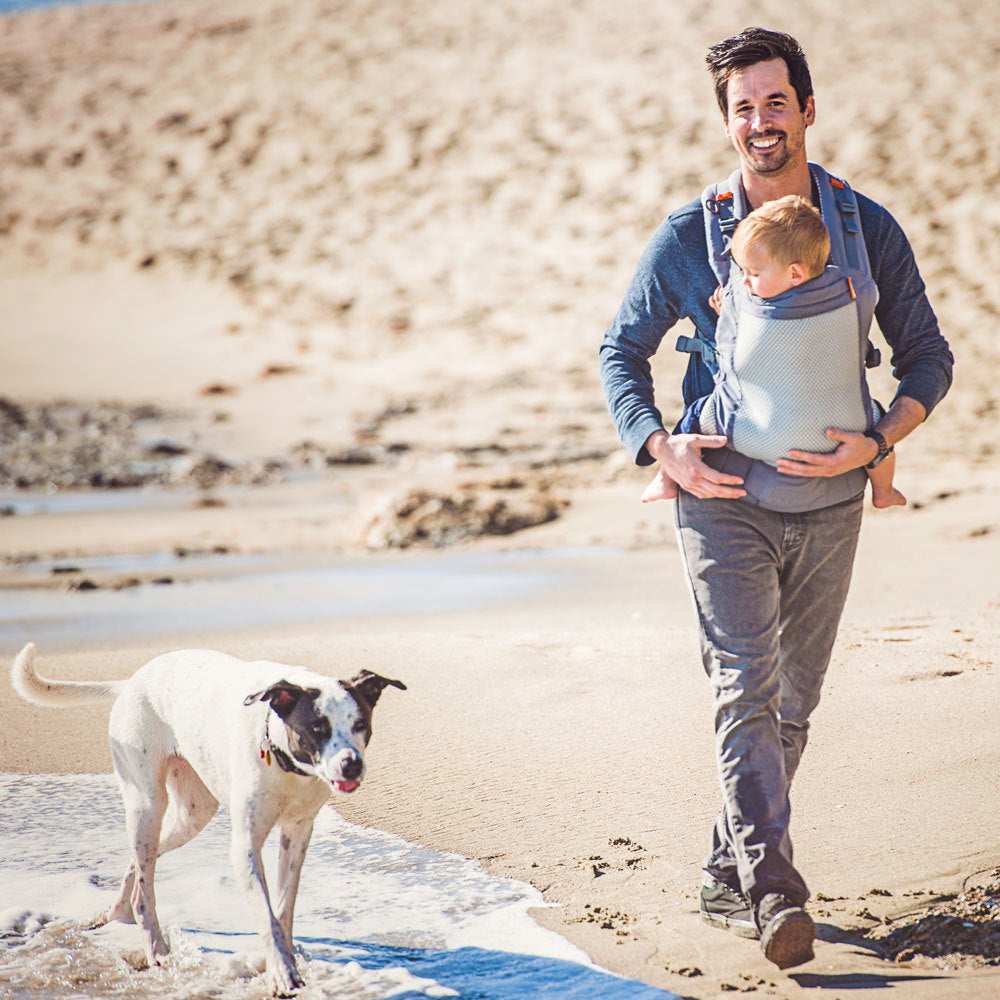 Man walking on a beach with a dog and a baby in a carrier