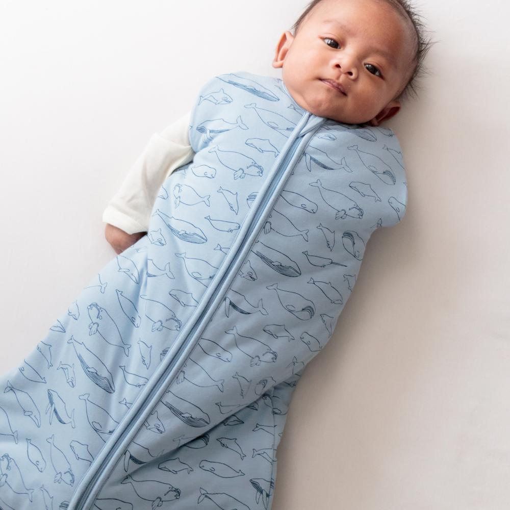 Baby wrapped in a blue swaddle with whale pattern on a light background