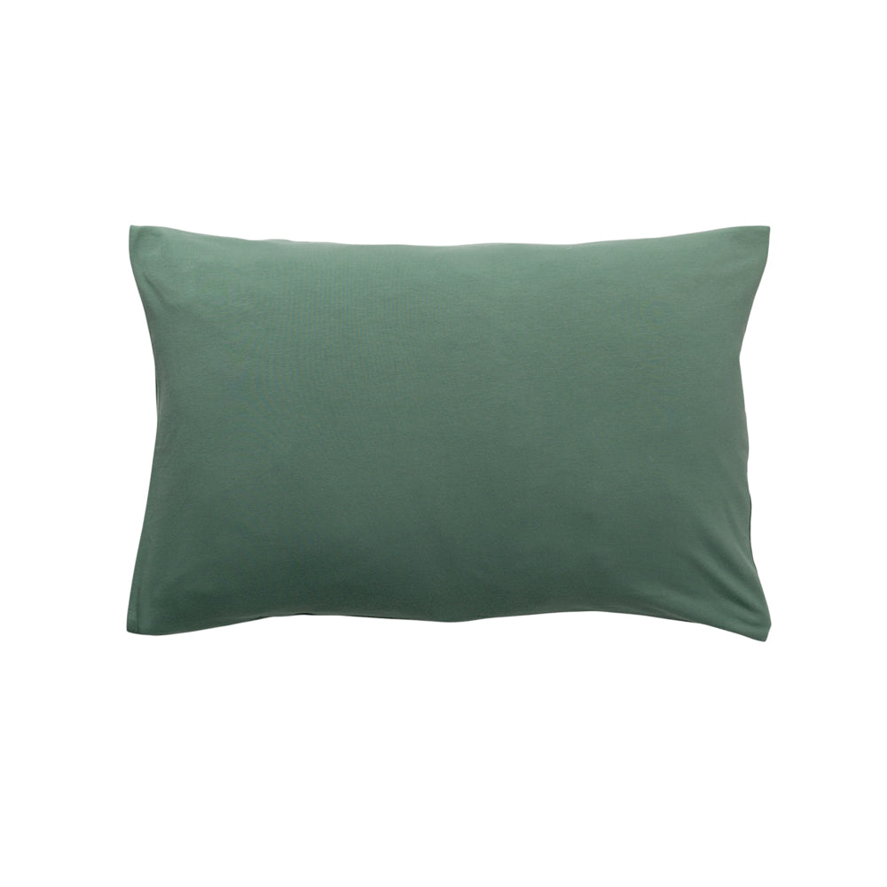 Pillow with Green Pillowcase on a white background