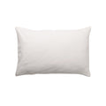Pillow with Natural Pillowcase on a white background