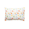 Pillow with Rainbow Pillowcase on a white background