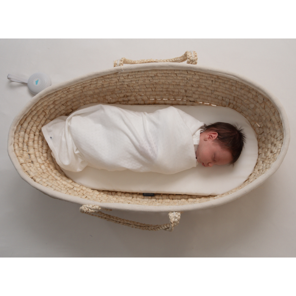 Newborn baby swaddled in a white blanket in a woven moses basket with a plain background