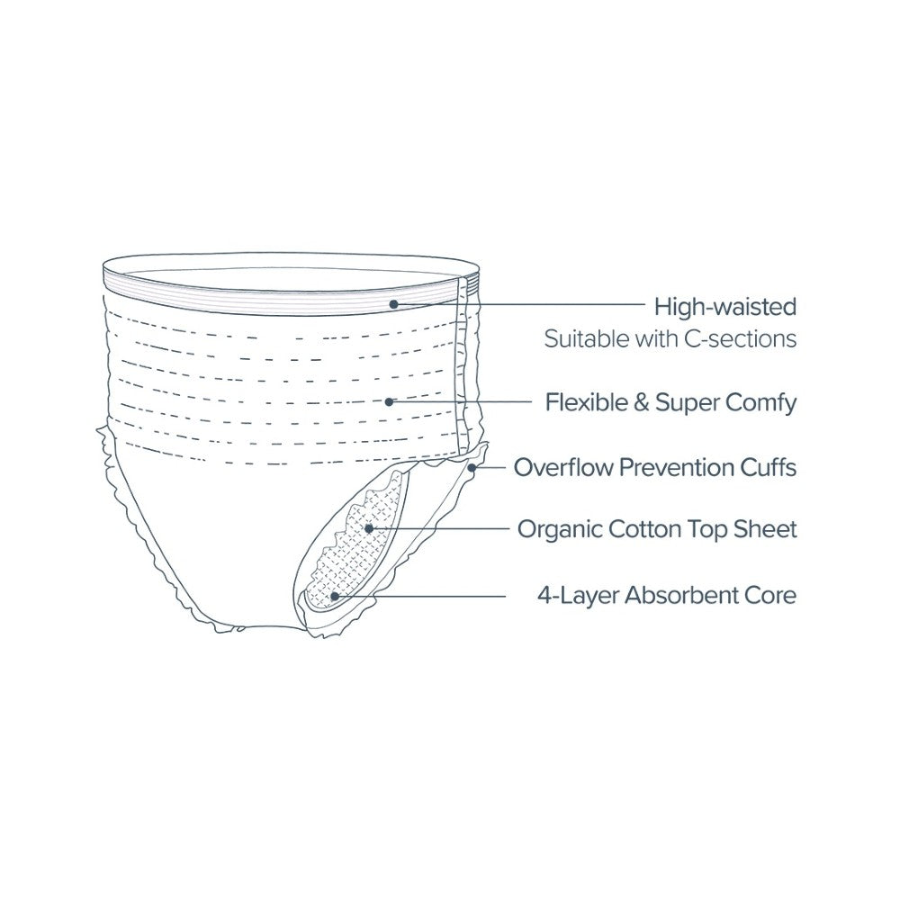 Postpartum & Maternity Disposable Underwear 10pk