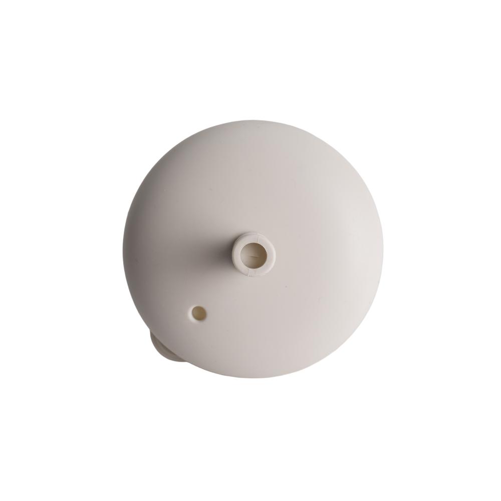 Oat silicone lid on a white background. 