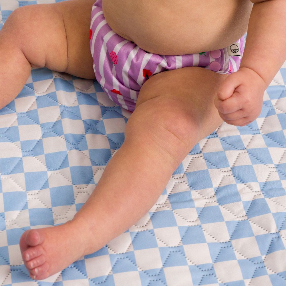 Splash Swim Nappy - Striped Raspberries