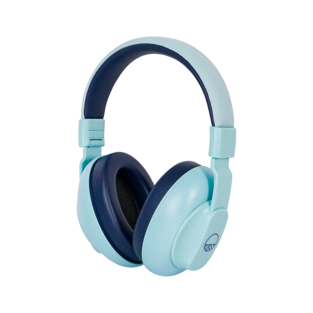 Little Kids Ear Defenders - Blue