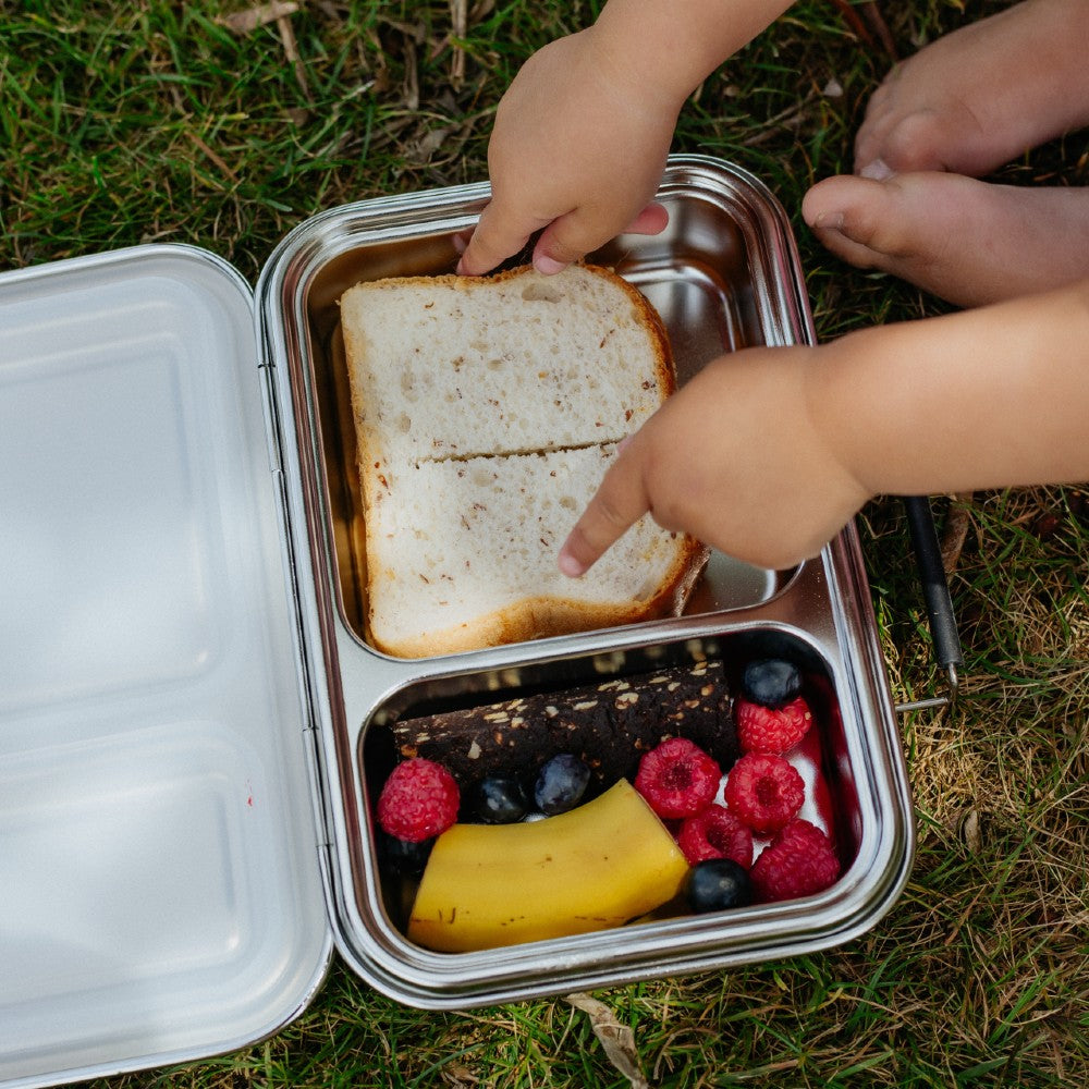 Stainless Steel Duo Bento Box - Clear