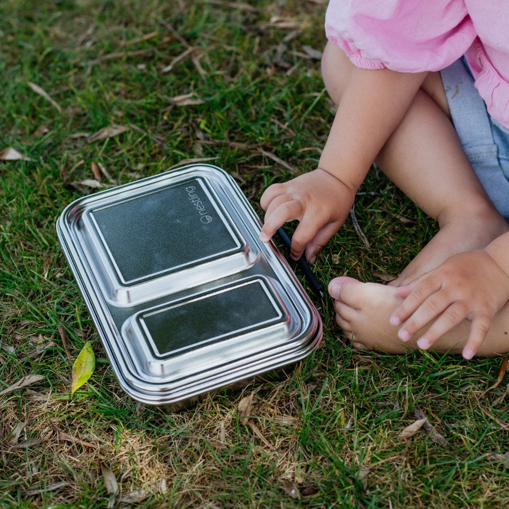 Stainless Steel Duo Bento Box - Clear