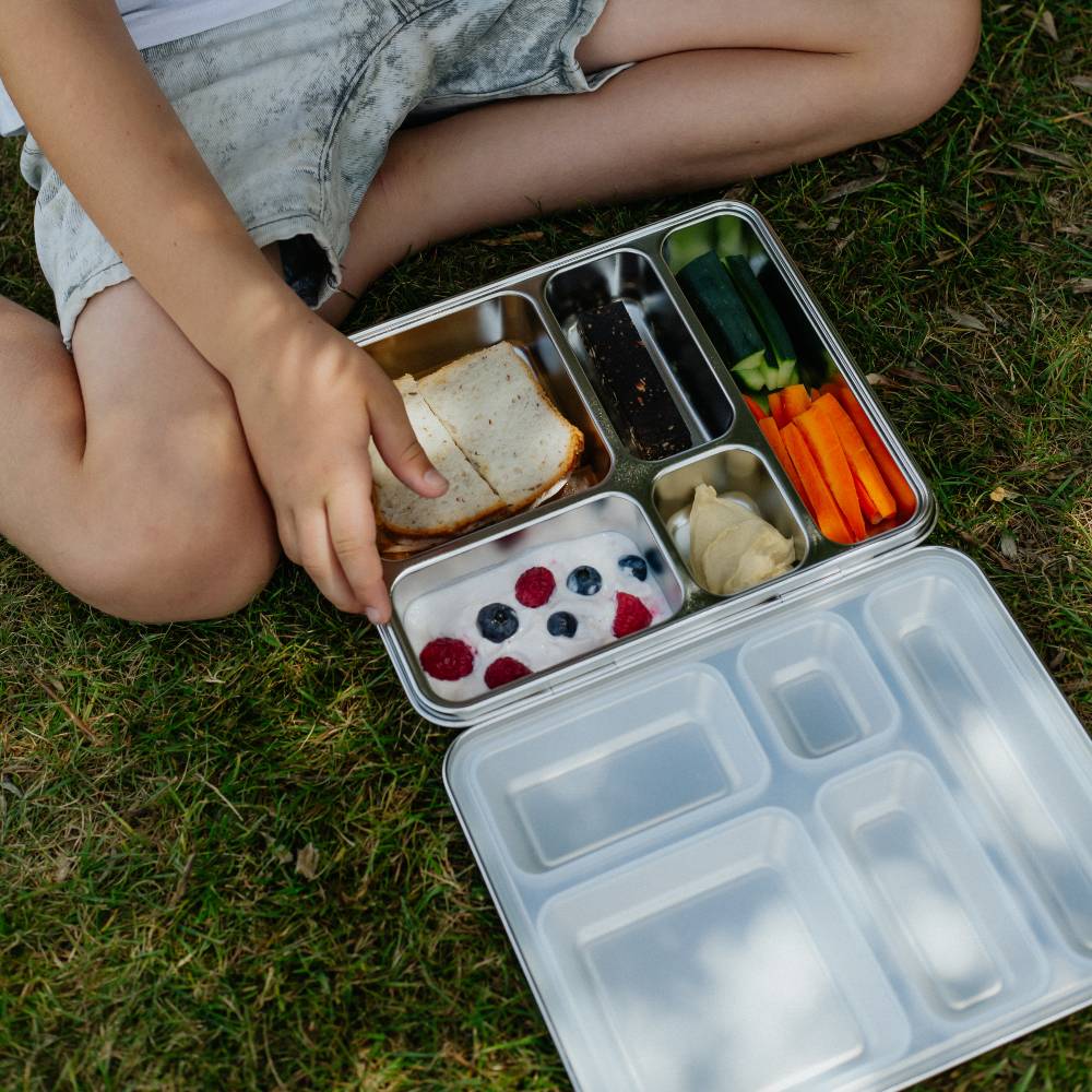 Stainless Steel Jumbo Bento Box - Clear