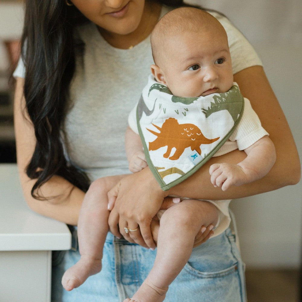 Woman holding a baby wearing a cotton muslin bandana bib with dinosaur print designs and blurred background