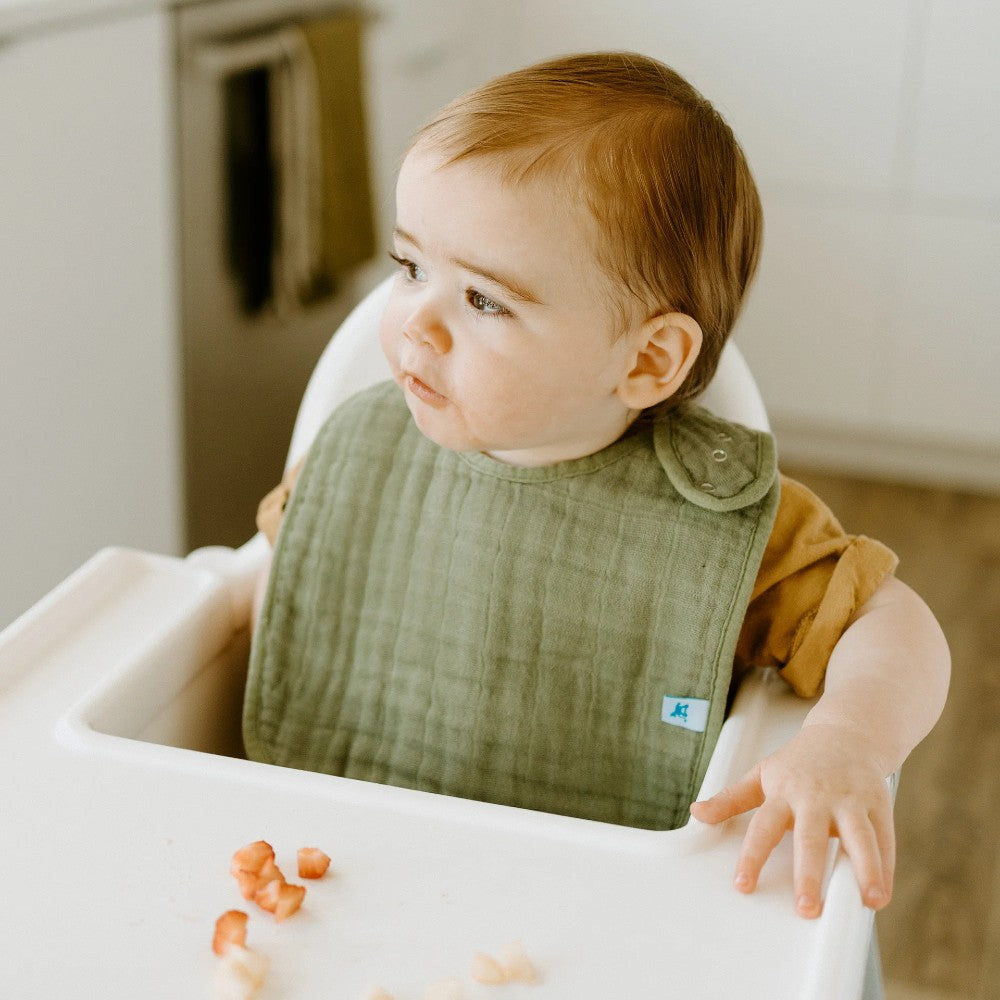 Muslin Classic Bib 3pk - Fern V2