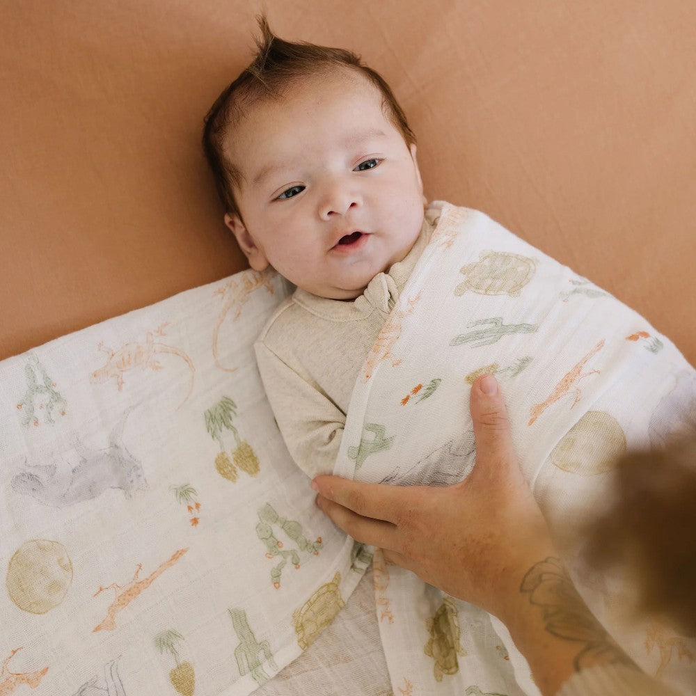 Baby wrapped in a wolf and cacti themed swaddle blanket with a hand holding it, against a beige background