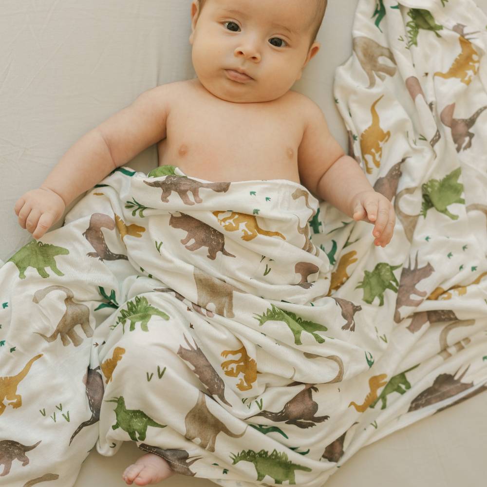 Stretch Knit Single Swaddle - Dino Pals