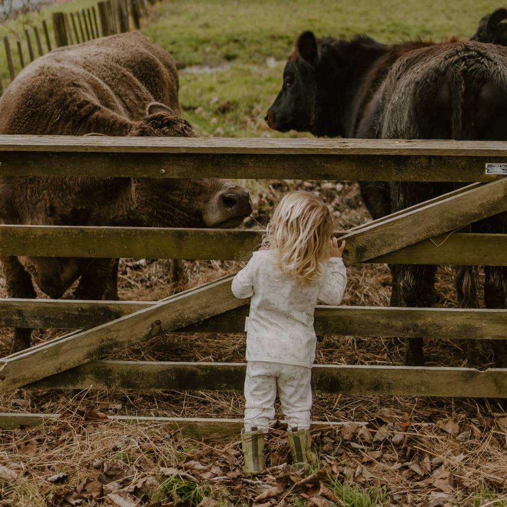 Merino Cotton Winter Pyjamas - Farmyard