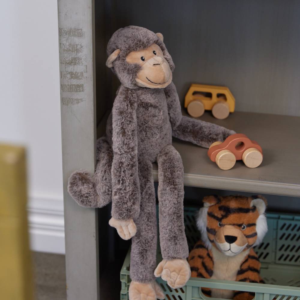 Mani the Monkey
