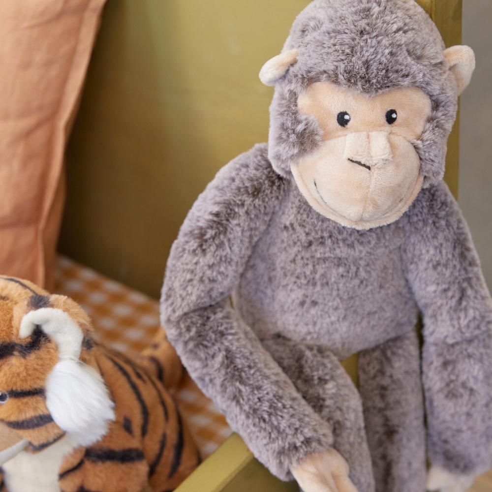 Mani the Monkey