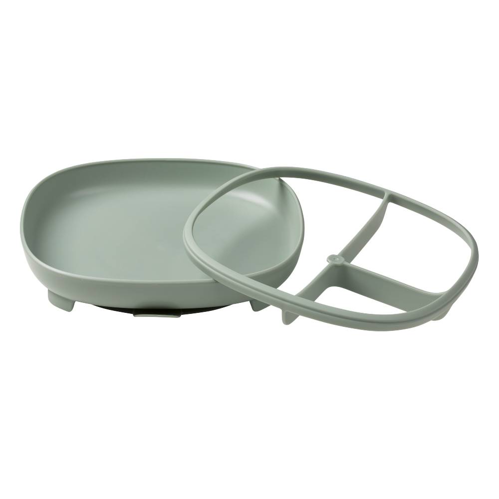 Light sage green suction plate with separate divider on a white background