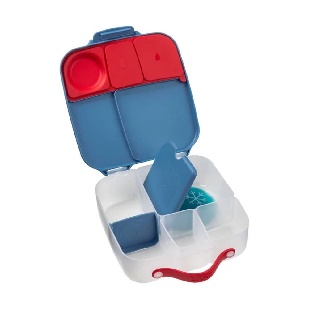Colorful compartmentalized lunchbox with red and blue sections on a white background
