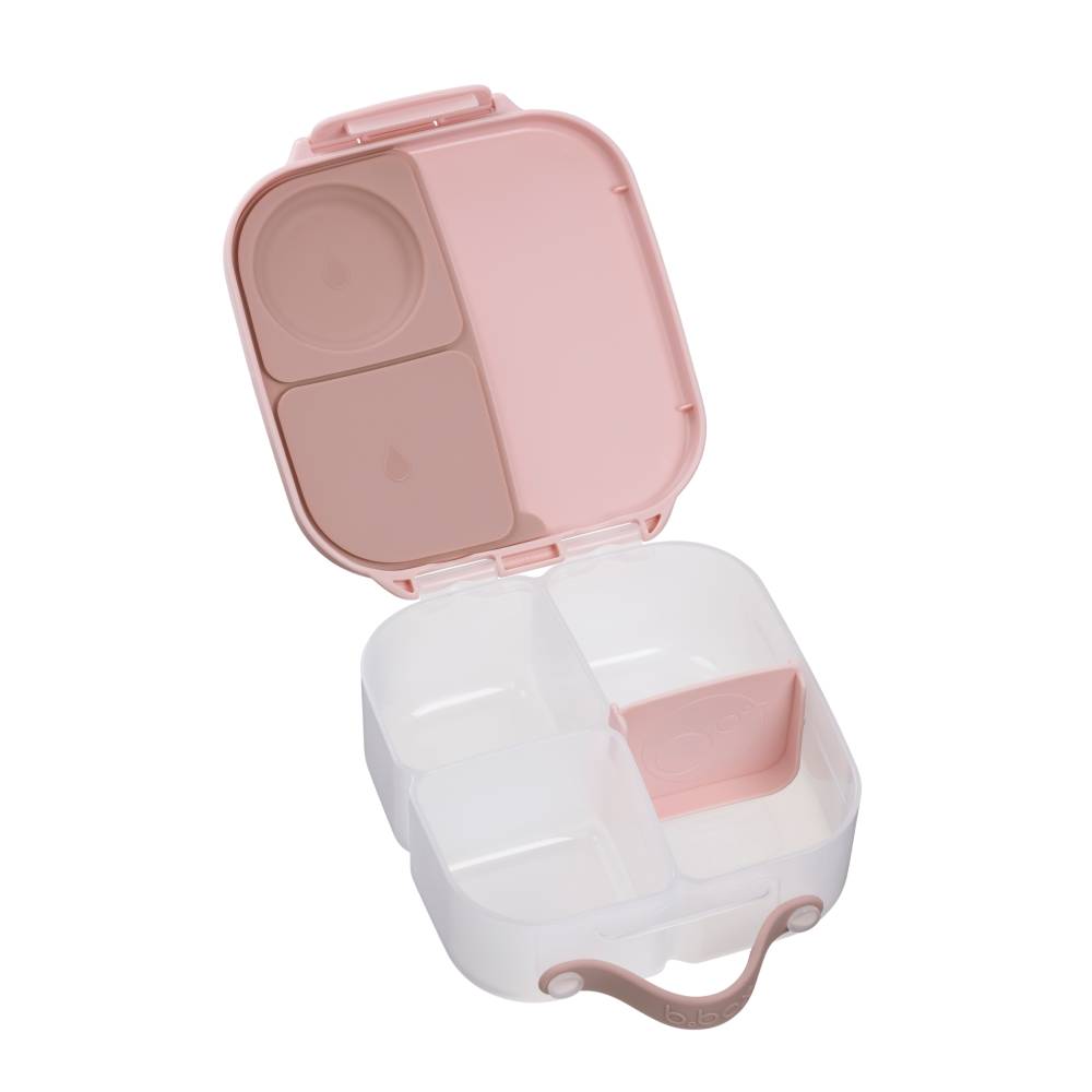 Mini Lunchbox - Blush Crush