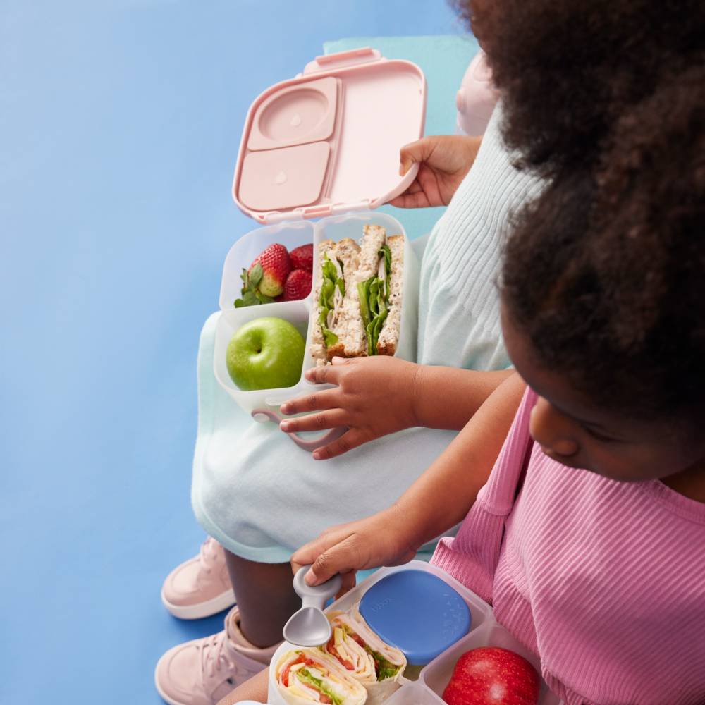 Mini Lunchbox - Blush Crush