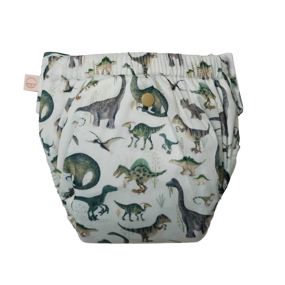 Straight Up Nappy Pants - Dinosaurs