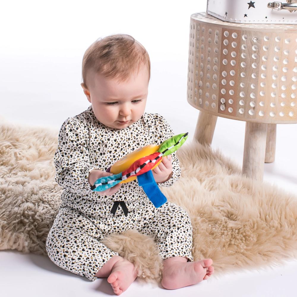 Star Bright Symphony Take Along Toy