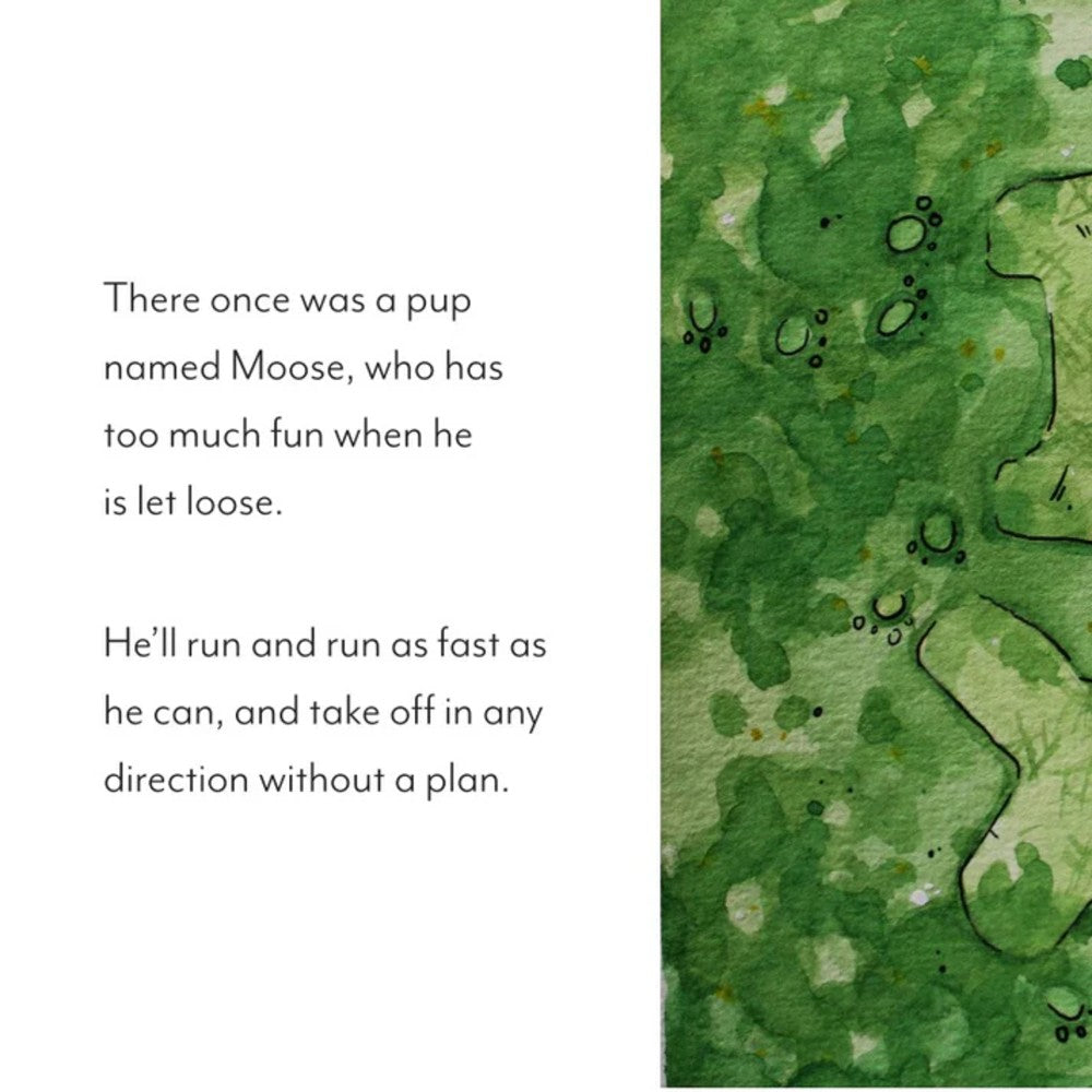 Moose on the Loose Board Book