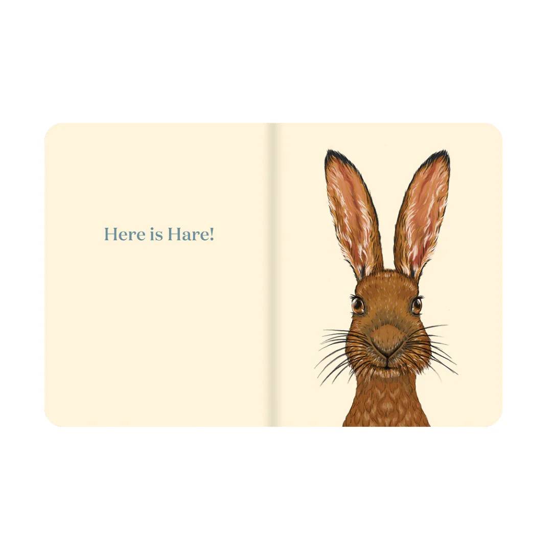 Here is Hare