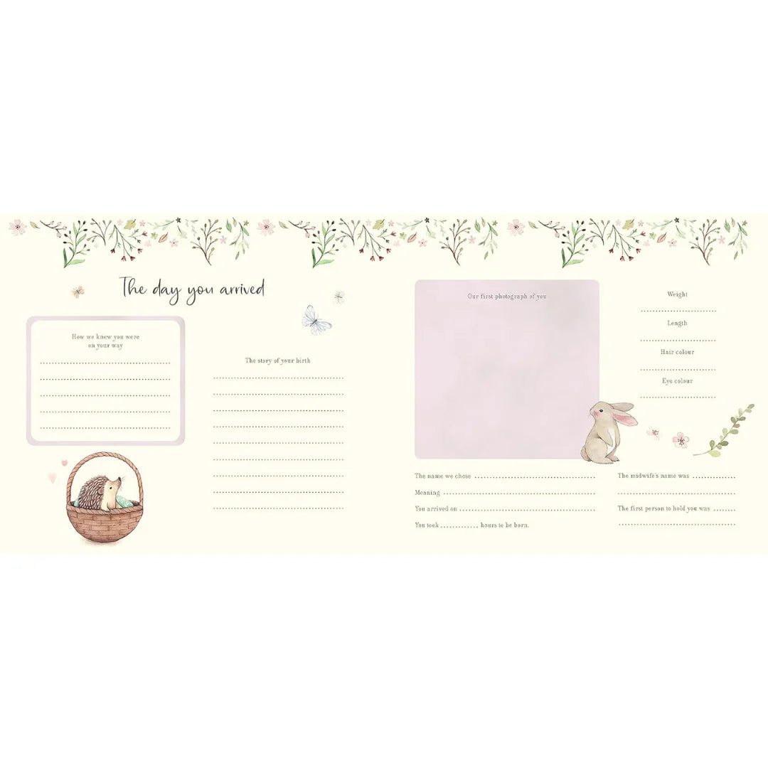 Baby's First Year Record Book - Nina Stajner