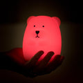Brave Bear - Rainbow Night Light