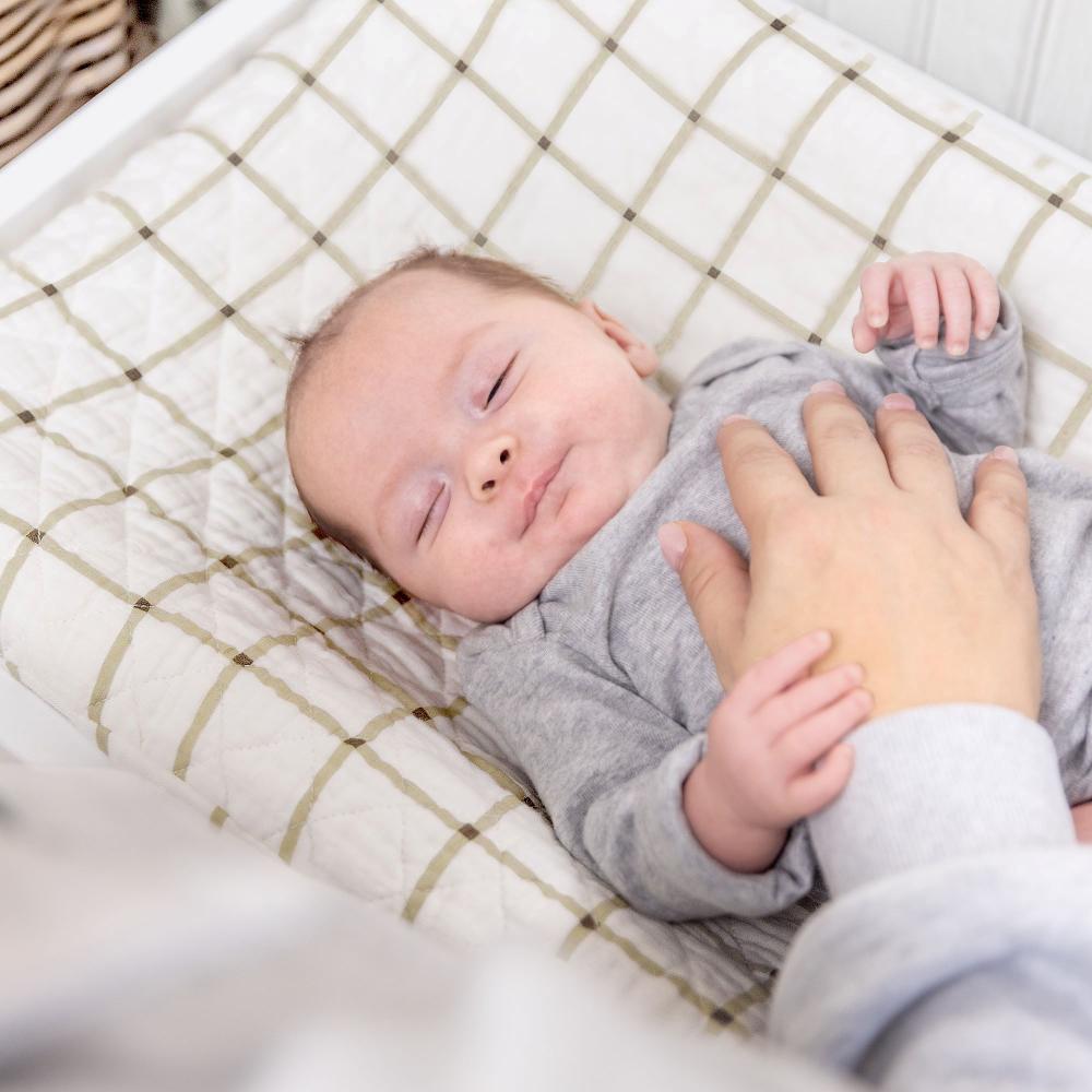 Organic Cotton Change Pad Cover - Avery Check