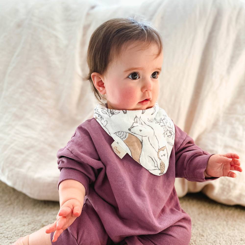 Muslin Bandana Bib Set 3pk - Ezra