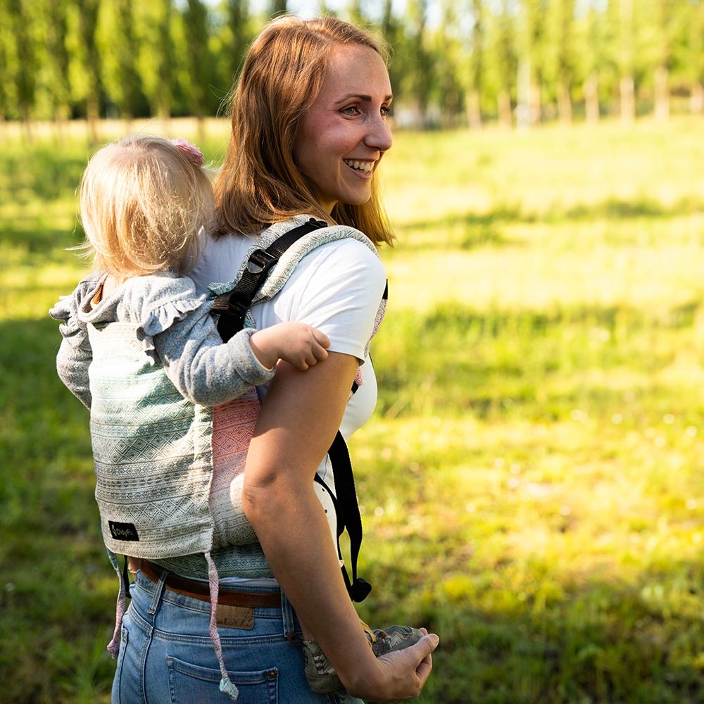 DidyFix Baby Carrier - Aurora