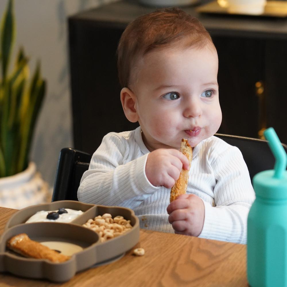Silicone Divided Suction Plate - Bear