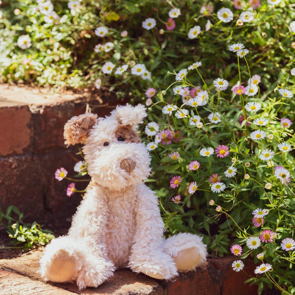 Buddy the Dog - Beige