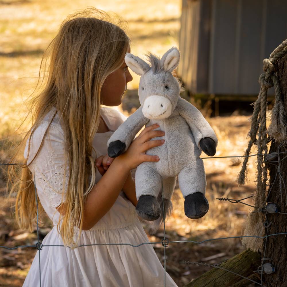 Diego the Donkey