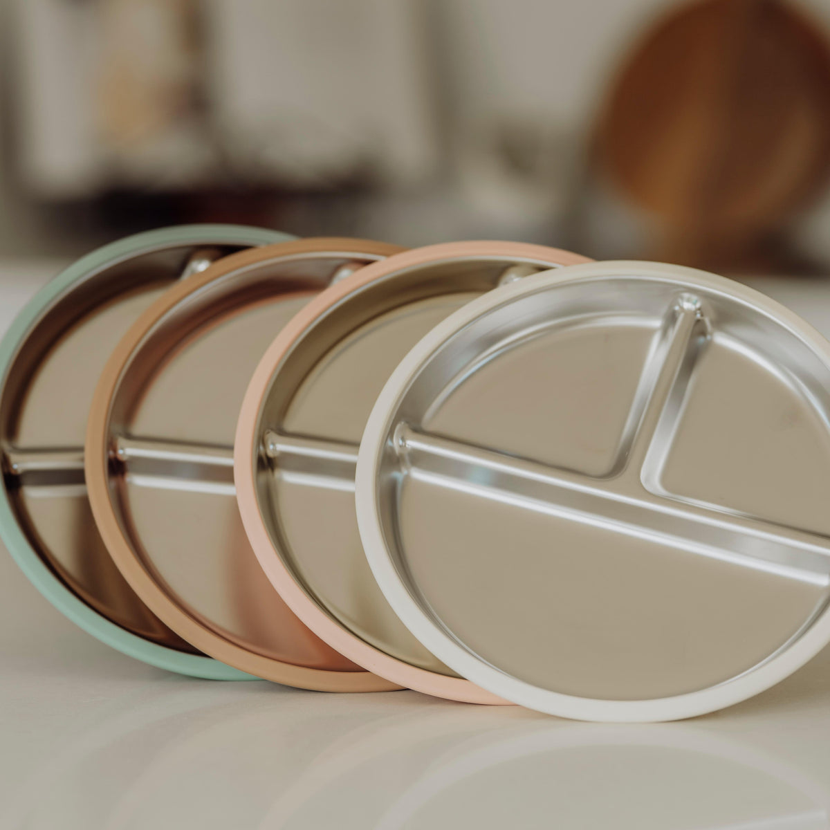 Stainless Steel Divided Plate - Group Shot
