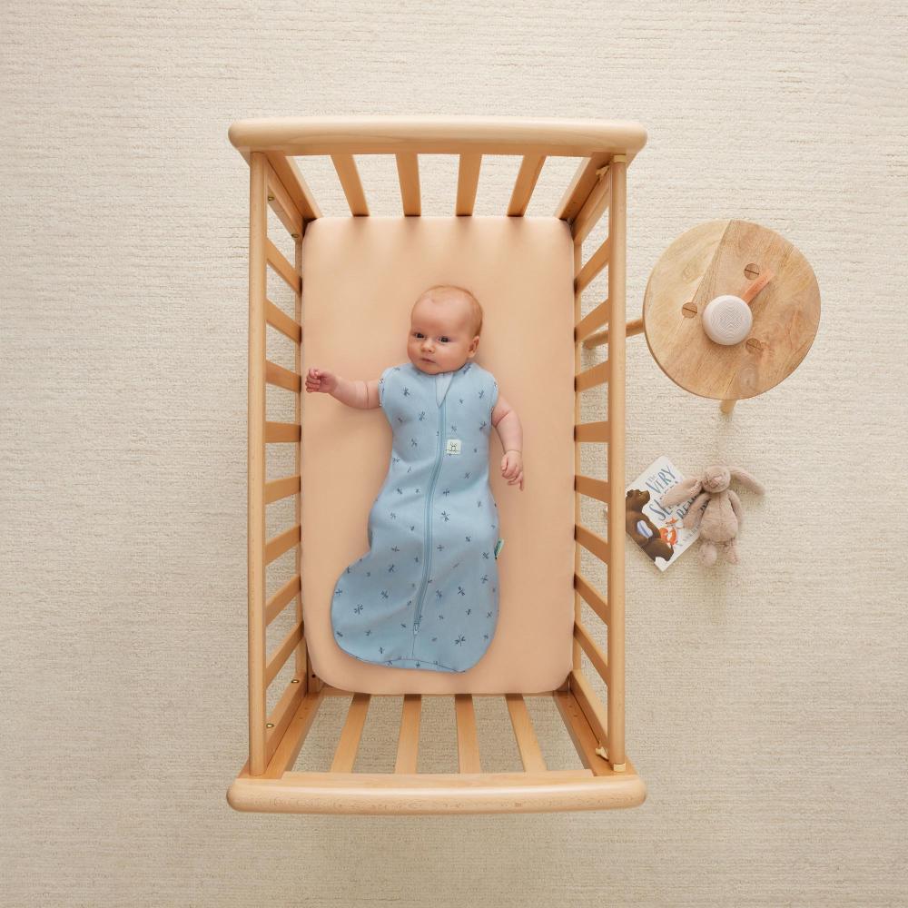 0.2 tog Cocoon Swaddle Bag - Dragonflies