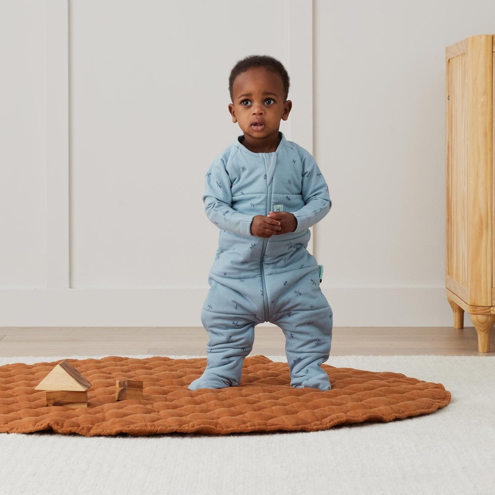 3.5 tog Winter Sleep Onesie - Dragonflies