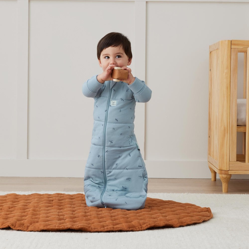 3.5 tog Sleeved Sleeping Bag - Dragonflies