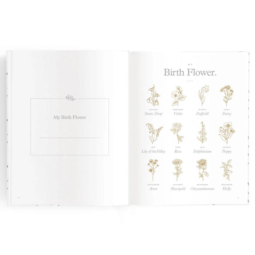 Baby Book - Blue Check