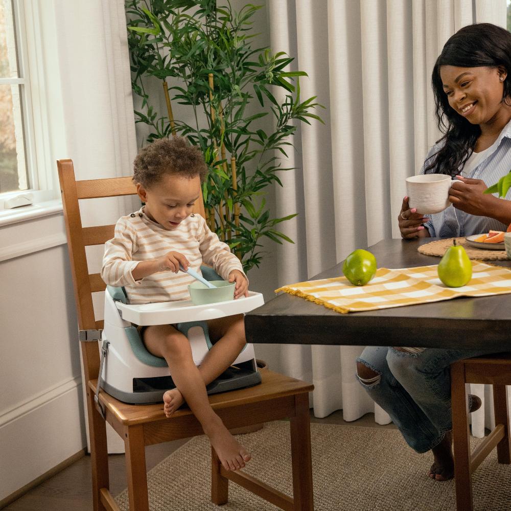 Baby Base 2-in-1 Seat - Mist