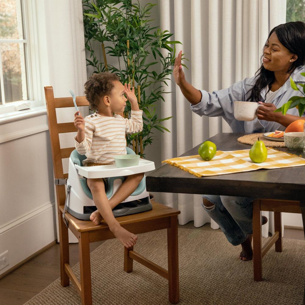 Baby Base 2-in-1 Seat - Mist