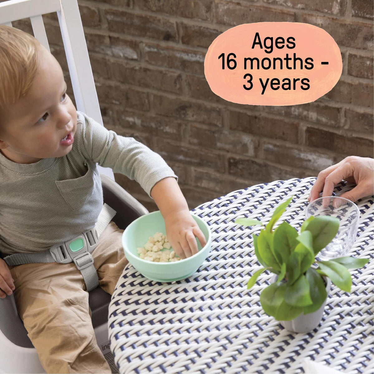 Smart Clean Toddler Booster Seat - Slate