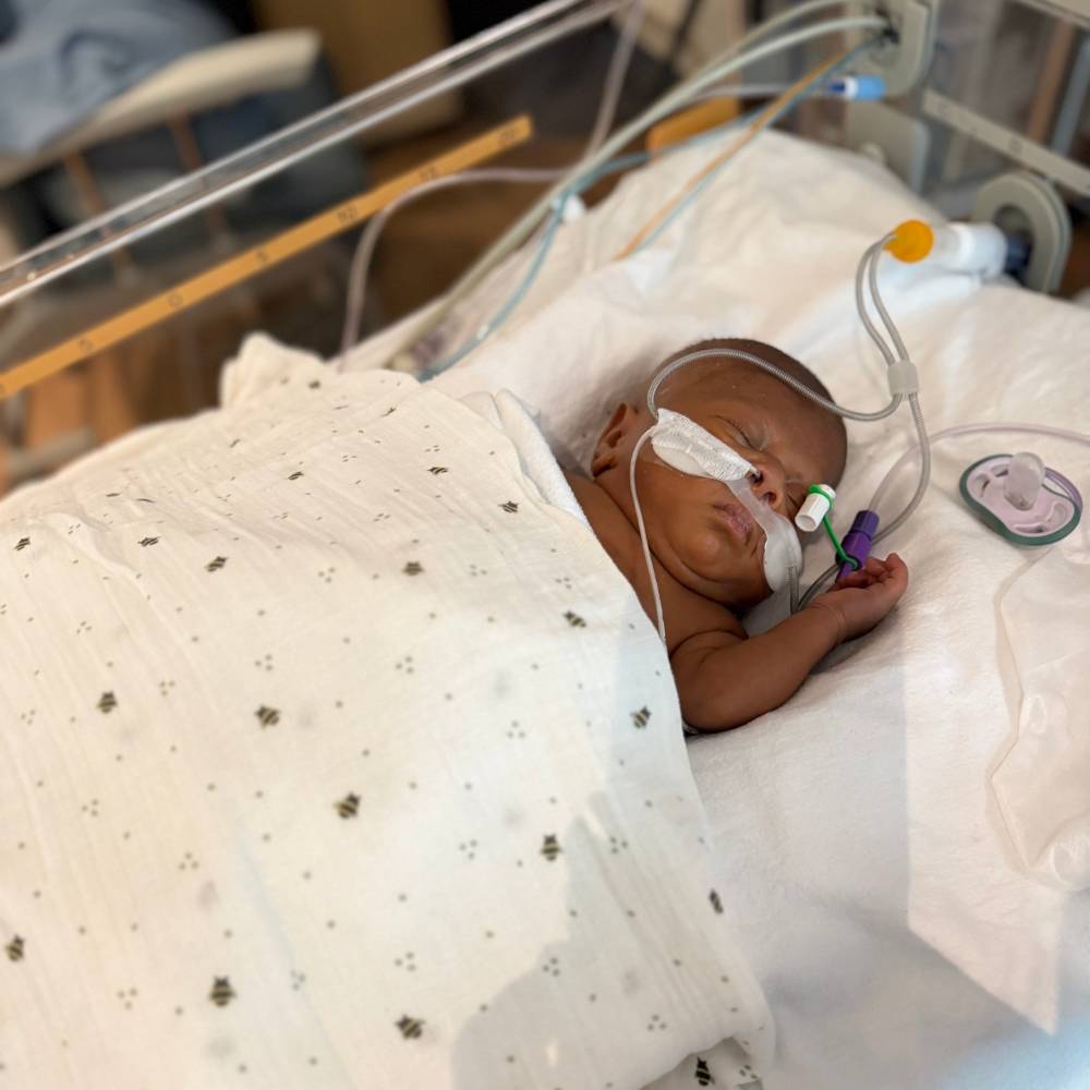 A premature newborn baby lying in a hospital bassinet, covered with a white muslin swaddle blanket with small dark bee prints. The baby is wearing an oxygen nasal cannula and has medical monitoring devices and tubes visible.
